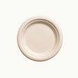 Sugarcane Plate 17cm - Cafe Supply