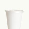 Bioplastic EcoCup Lid with Straw Hole 90mm - Cafe Supply
