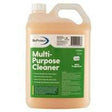 BioProtect Multi-Purpose Cleaner 5 Litre Mint Fragrance - Cafe Supply