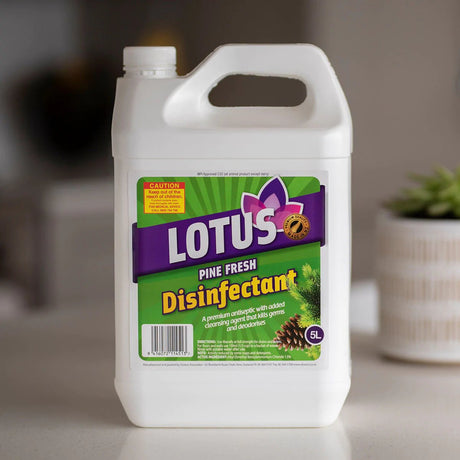 Disinfectant Pine 5L - Cafe Supply