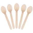 Envirocutlery Wooden Spoons - Cafe Supply