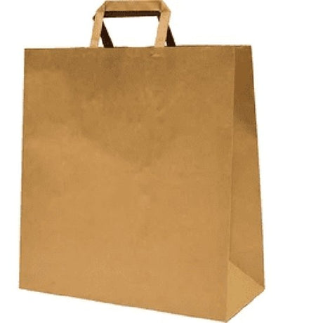 Foodservice/Takeaway Bags, Large - Cafe Supply