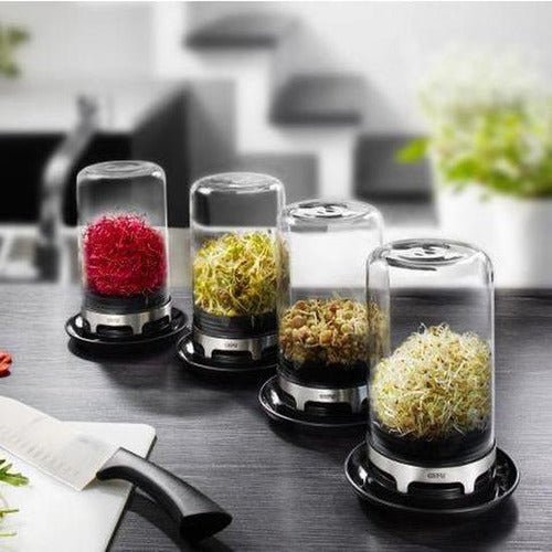 Gefu Bivita Sprouting Jar - Cafe Supply