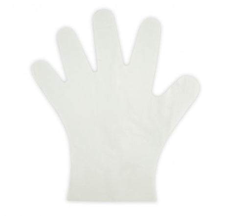 LARGE COMPOSTABLE GLOVE - Cafe Supply