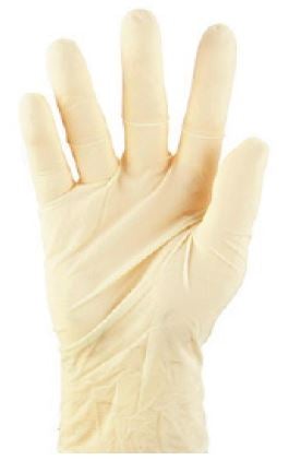 Latex Gloves Powder Free - White, L, 6.0g (1000) Per Box - Cafe Supply
