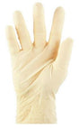 Latex Gloves Powder Free - White, S, 6.0g (1000) Per Box - Cafe Supply