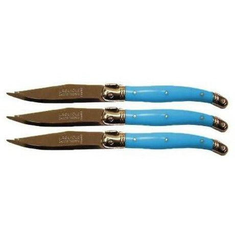 VERDIER FRUIT KNIFE BLUE (3) - Cafe Supply